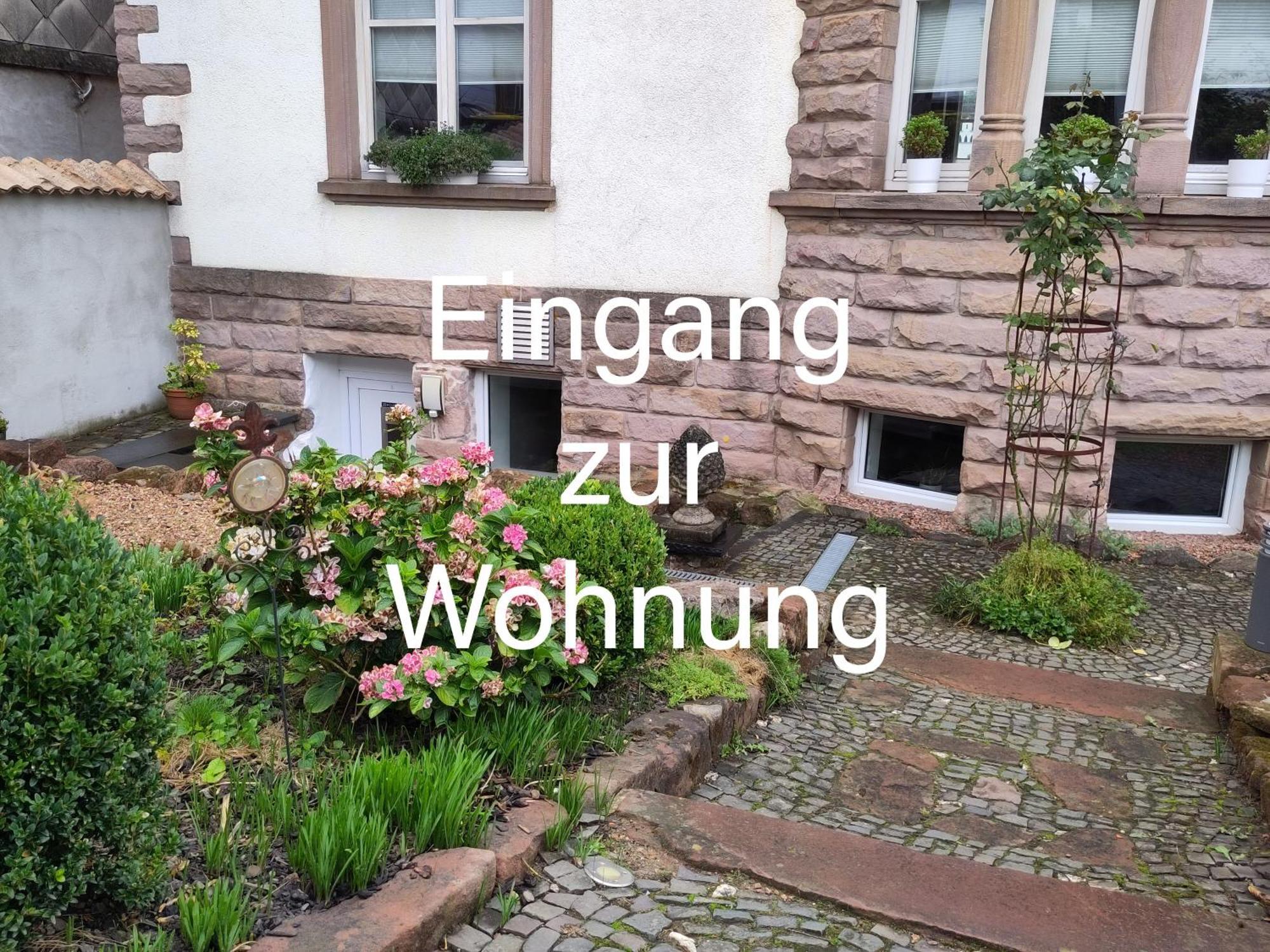 Casa Viva - Separate, Ruhig Gelegene Wohnung Quierschied Exteriér fotografie